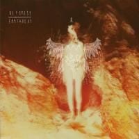 178989-be-forest-earthbeat