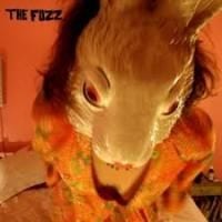 177443-the-fuzz-the-fuzz