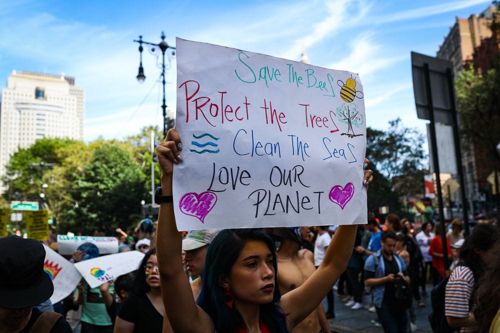 Climate Strike New York Activists in Photos