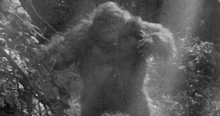 On Apes, Racism, and Other Shoddy Scams in 1930 African Adventure Film, ‘Ingagi’