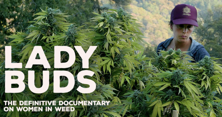 Cannabis Film ‘Lady Buds’ Director Chris J. Russo Gets Down to Business