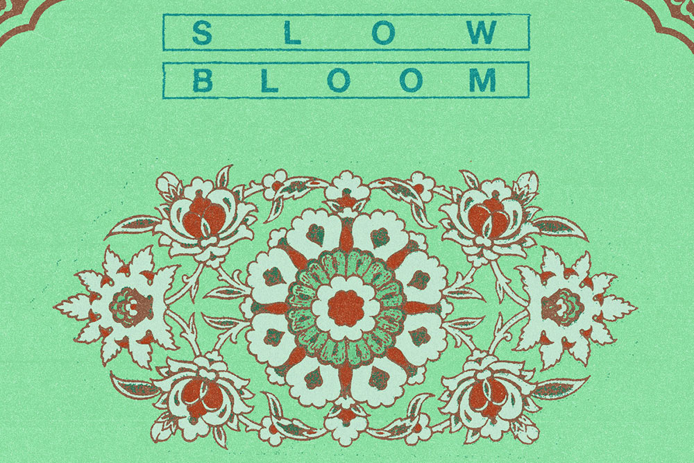 Scree Slow Bloom