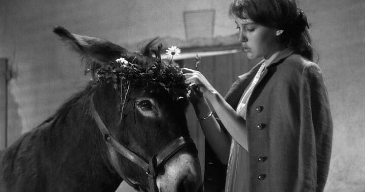 What We Can Learn From a Simple Tale About a Donkey, ‘Au Hasard Balthazar’