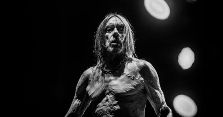 Iggy Pop Is in a Frenzy on ‘Every Loser’
