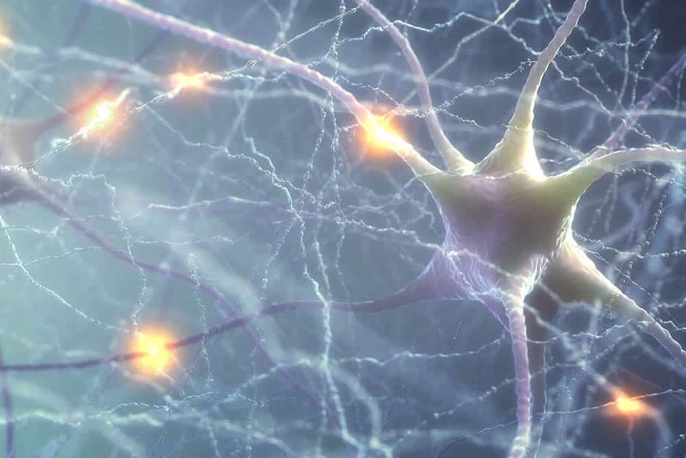 Consciousness, Neurons