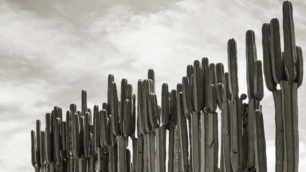 Pedro Páramo Juan Rulfo