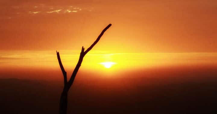 M. Scott Momaday’s ‘House Made of Dawn’ Offers Light to See By