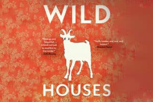 Colin Barrett’s Debut Novel ‘Wild Houses’ Unfolds Predictably