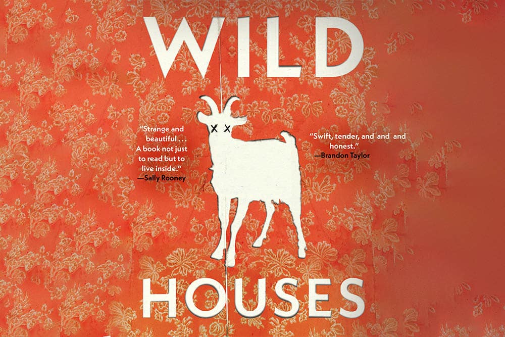 Wild Houses, Colin Barrett