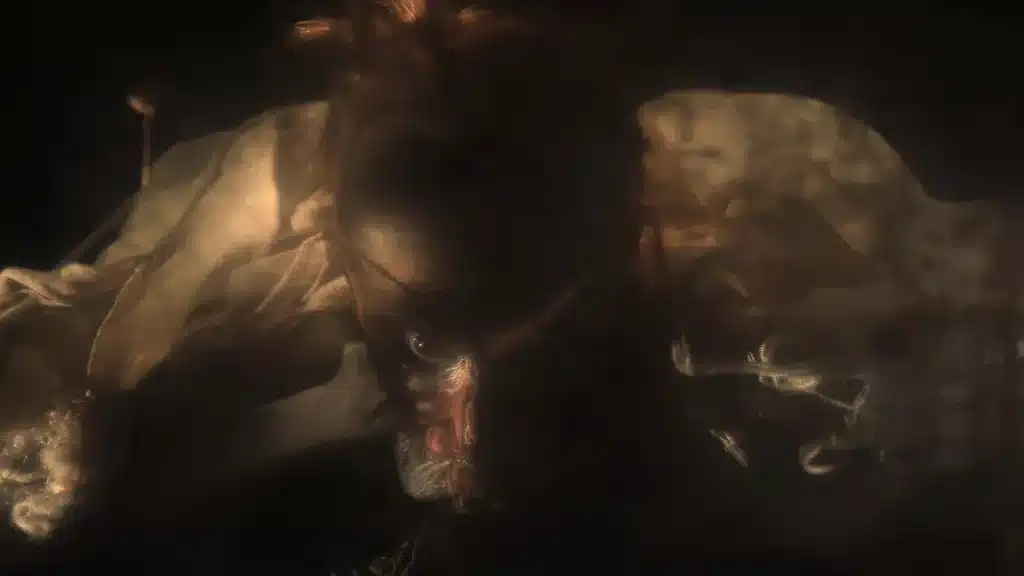 Sanatorium Under the Sign of the Hourglass the Quay Brothers