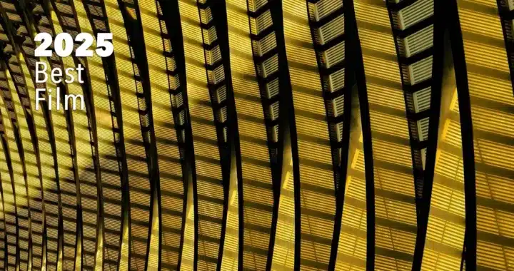 The Best Films of 2025
