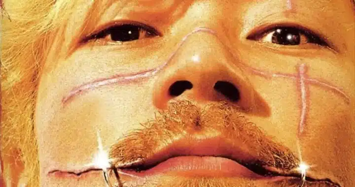 Ichi the Killer’s Scar Couture