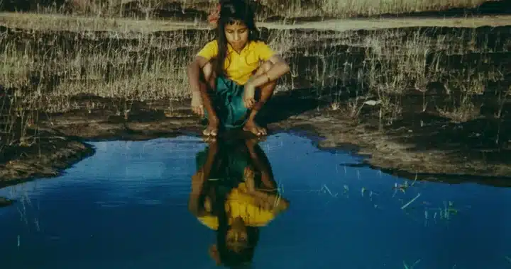 Scorsese’s World Cinema Project #5 Carries Serenity and Chaos