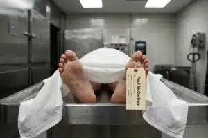 “Paul McCartney Is Dead”: The Hoax That Just Won’t Die