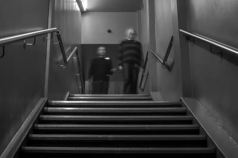 Seefeel 2026