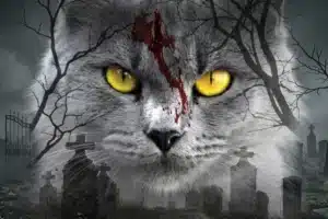 Stephen King’s Nightmares are Personal and Real