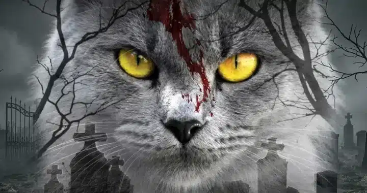 Stephen King’s Nightmares are Personal and Real